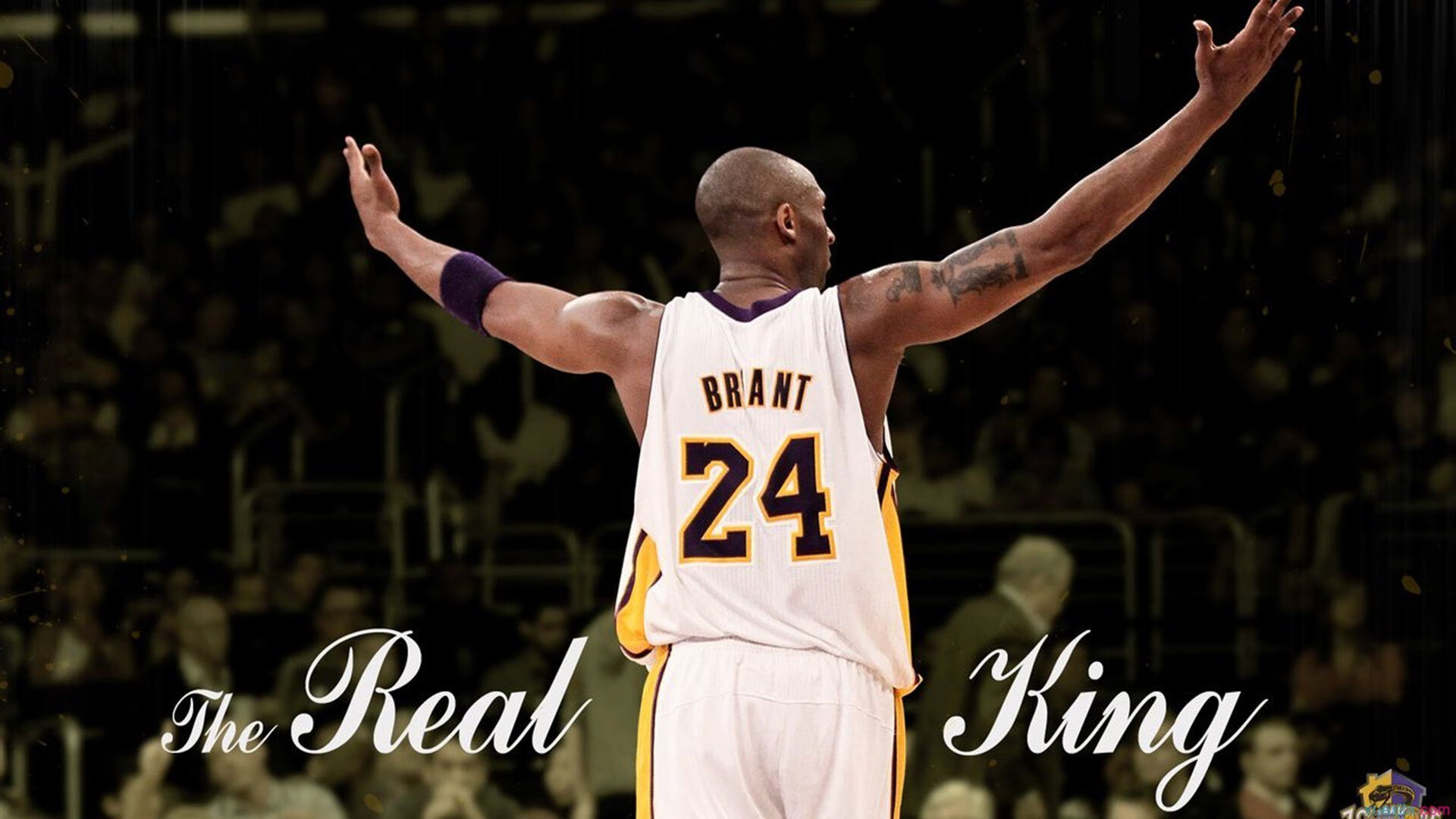  菲利克斯菲神女友照片 